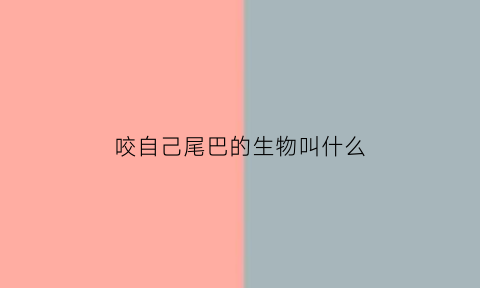 咬自己尾巴的生物叫什么(咬自己尾巴的蛇叫什么)