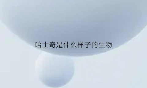 哈士奇是什么样子的生物