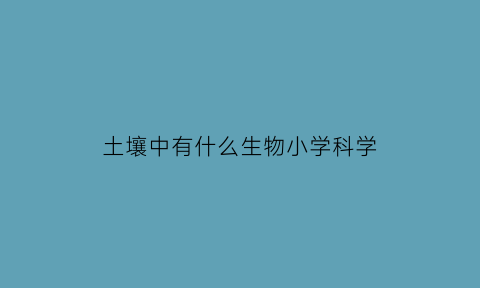 土壤中有什么生物小学科学