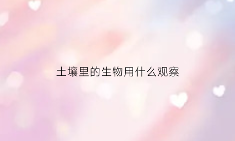 土壤里的生物用什么观察(观察土壤中有哪些动植物)