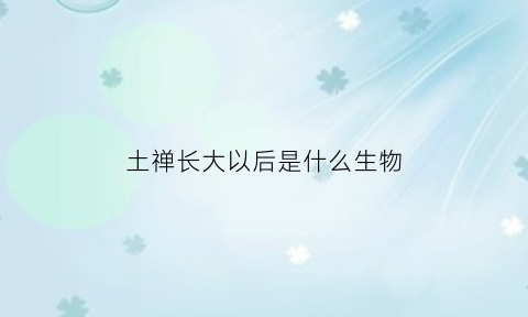 土禅长大以后是什么生物(土蝉幼虫图片)