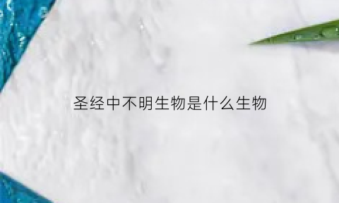 圣经中不明生物是什么生物(圣经中不明白的时候怎么办)