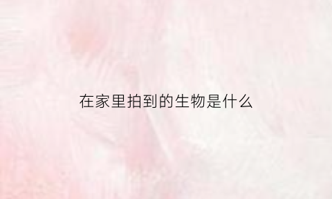 在家里拍到的生物是什么(家中的生物)