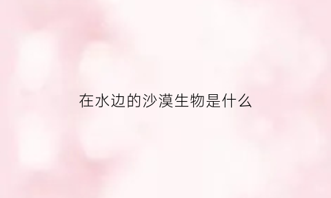 在水边的沙漠生物是什么(在沙漠里找水)