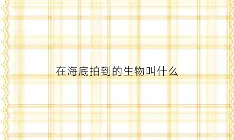 在海底拍到的生物叫什么(在海底拍到的生物叫什么名字)