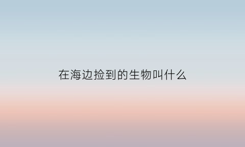 在海边捡到的生物叫什么(海边捡到鱼意味着什么)