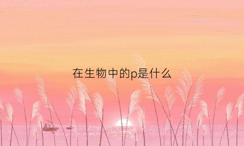 在生物中的p是什么(生物中的p是什么意思)