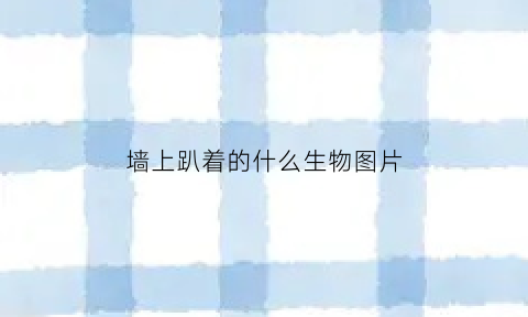 墙上趴着的什么生物图片(在墙上爬的是什么)