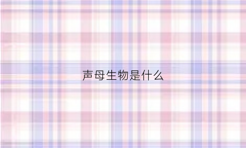 声母生物是什么(声母是什么东西)