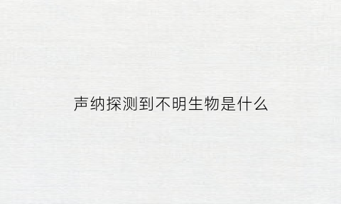 声纳探测到不明生物是什么(声纳探测实时成像原理)