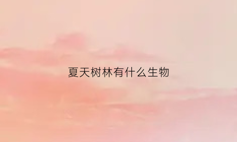 夏天树林有什么生物(夏天树木有什么)