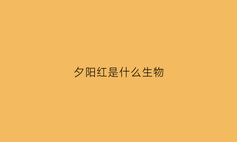 夕阳红是什么生物(夕阳红艳是什么生肖)