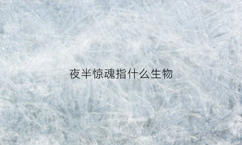 夜半惊魂指什么生物(夜半惊魂指什么动物)