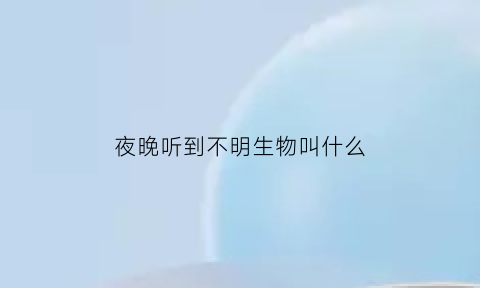 夜晚听到不明生物叫什么