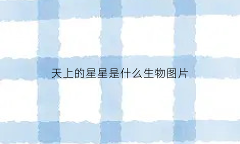 天上的星星是什么生物图片(天上的星星是什么生物图片和名字)