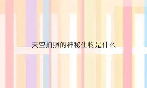 天空拍照的神秘生物是什么(天空拍照叫什么)