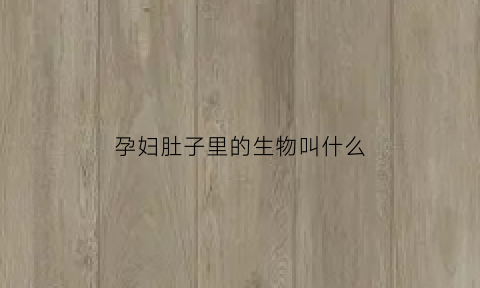 孕妇肚子里的生物叫什么(孕妇肚子里是什么样子图片)
