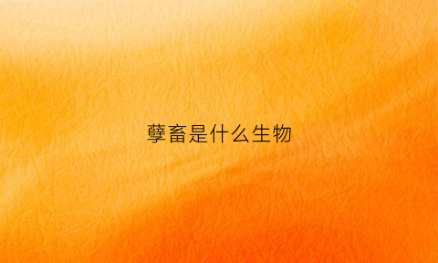 孽畜是什么生物(孽畜是什么动物)