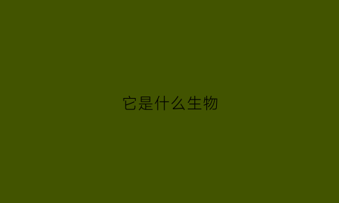 它是什么生物(它是什么动物)