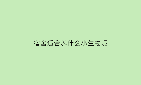 宿舍适合养什么小生物呢