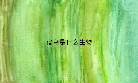 宿鸟是什么生物(宿鸟是什么动物)