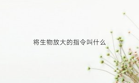 将生物放大的指令叫什么(生物放大倍数怎么算)