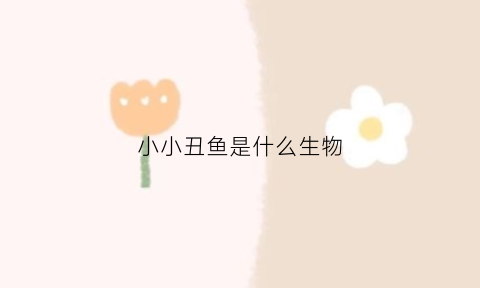 小小丑鱼是什么生物(小小丑鱼巫哲)