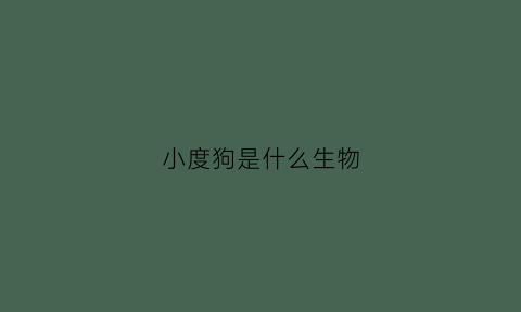 小度狗是什么生物(小度是什么宠物)