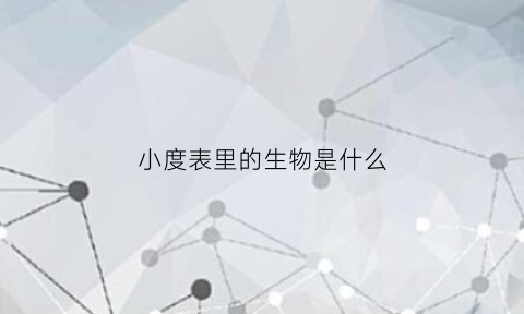 小度表里的生物是什么