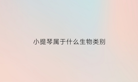 小提琴属于什么生物类别(小提琴属于声乐吗)