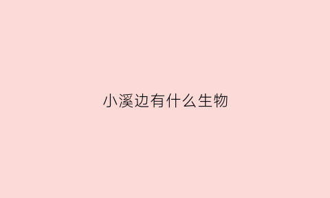 小溪边有什么生物(小溪旁边有什么东西)