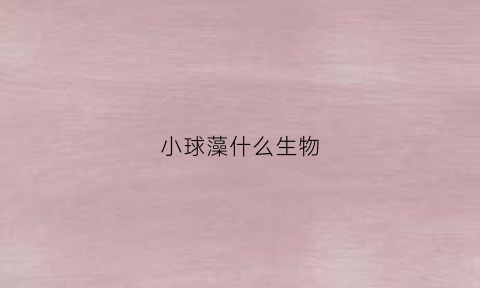 小球藻什么生物