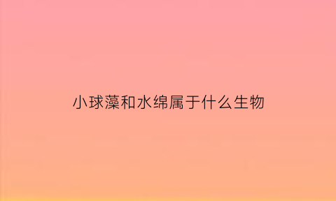 小球藻和水绵属于什么生物(小球藻在水体中的作用)