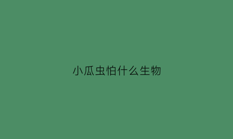 小瓜虫怕什么生物(小瓜虫对人类有什么危害)