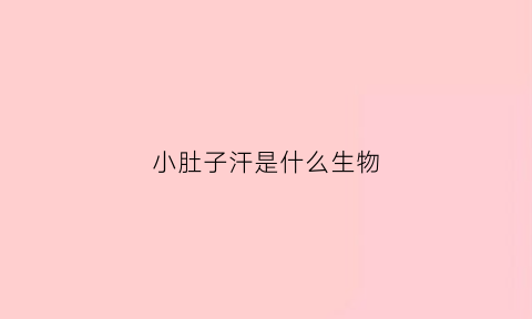 小肚子汗是什么生物