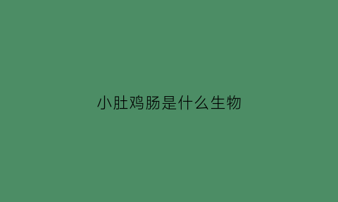 小肚鸡肠是什么生物