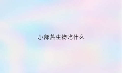 小部落生物吃什么