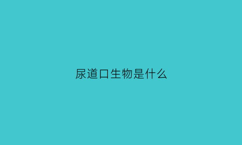 尿道口生物是什么(尿道口是什么字)