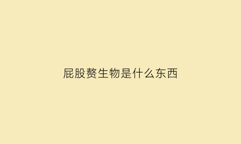 屁股赘生物是什么东西(屁股长肉赘怎么办)