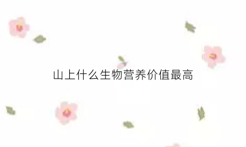 山上什么生物营养价值最高(山上什么生物营养价值最高呢)