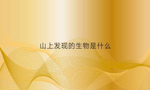 山上发现的生物是什么(山上出现不明生物)