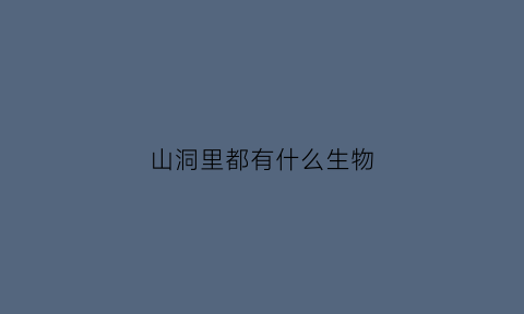 山洞里都有什么生物(山洞里都有什么生物图片)