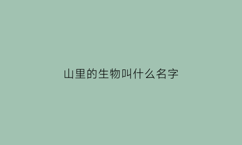 山里的生物叫什么名字(山里都有什么野生动物)