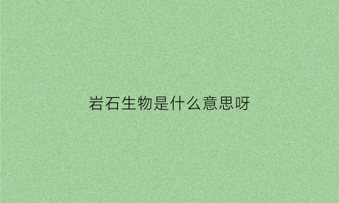 岩石生物是什么意思呀(岩石生物风化)