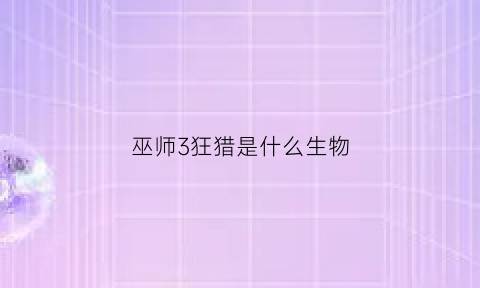 巫师3狂猎是什么生物(巫师3狂猎是什么生物装备)