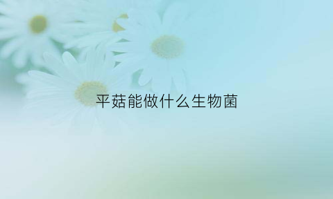 平菇能做什么生物菌(平菇可以做成什么菜)