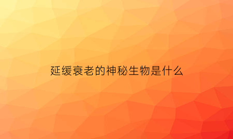延缓衰老的神秘生物是什么(四种延缓衰老的食物)