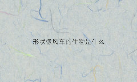 形状像风车的生物是什么(像风车的是哪个国旗图片)