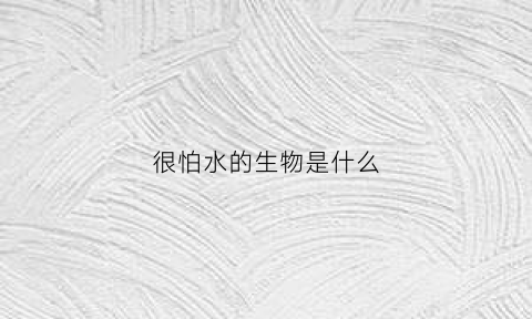 很怕水的生物是什么(非常怕水的动物)