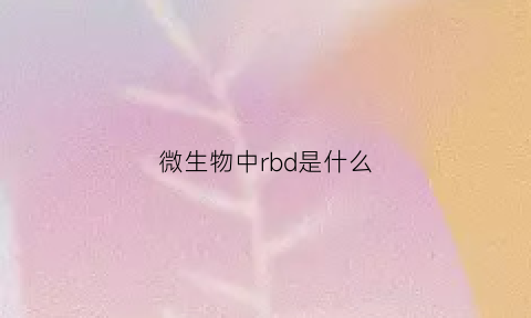 微生物中rbd是什么